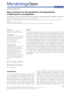 Role of bacteria in the production and degradation of Microcystis