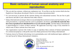 Basic cartoons of human sexual anatomy and reproduction