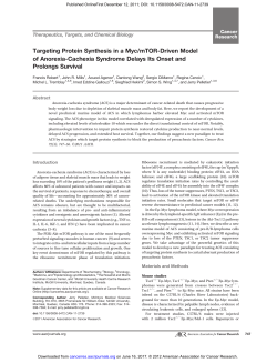 Targeting Protein Synthesis in a Myc/mTOR