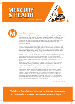 Mercury and Health - Health and Environment Alliance