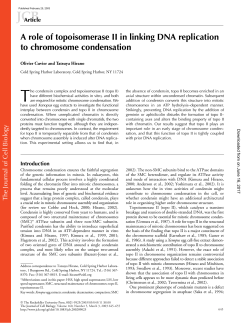 A role of topoisomerase II in linking DNA replication to chromosome