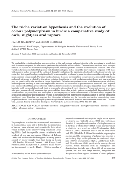 The niche variation hypothesis and the evolution