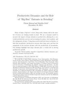 Productivity Dynamics and the Role of &ldquo;Big