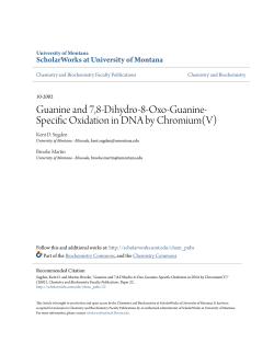 Guanine and 7,8-Dihydro-8-Oxo-Guanine
