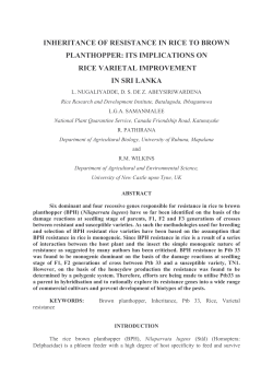 inheritance of resistance in rice to brown planthopper: its