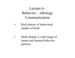 Behavior - ethology