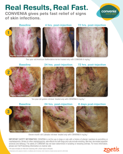 to the CONVENIA Speed of Onset poster