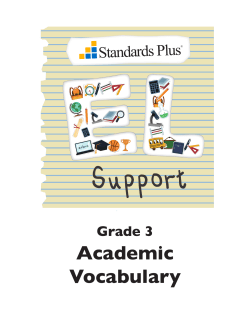 Support - Standards Plus