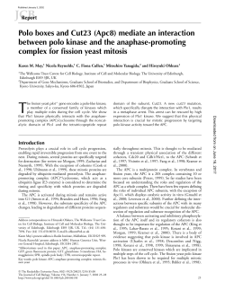 Polo boxes and Cut23 - The Journal of Cell Biology