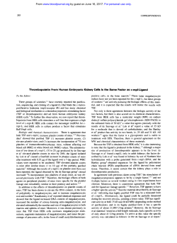 Thrombopoietin From Human Embryonic Kidney Cells Is the Same