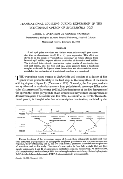HE tryptophan (trp) operon of Escherichia coli