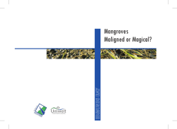 Mangroves Maligned or Magical?