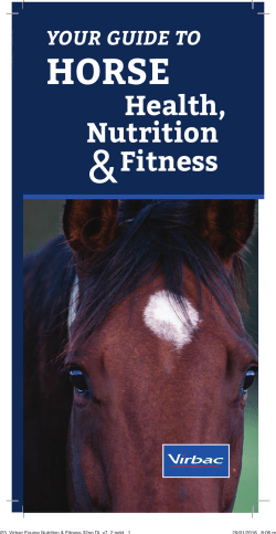 the PDF - Virbac Australia