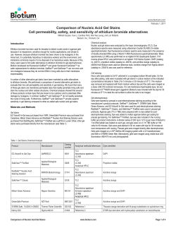 Comparison of Nucleic Acid Gel Stains Cell permeability