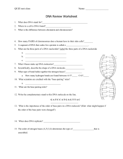 DNA Review Worksheet