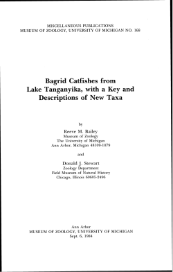 Bagrid Catfishes from Lake Tanganyika, with a Key and Descriptions