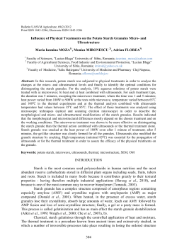304 Influence of Physical Treatments on the Potato Starch Granules