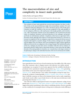 The macroevolution of size and complexity in insect male