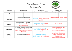 Ellwood Curriculum Plan - Ellwood Community Primary School