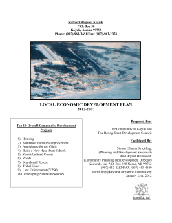 local economic development plan