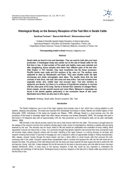 Histological Study on the Sensory Receptors of the Teat Skin in