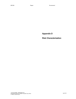 Appendix D Risk Characterization