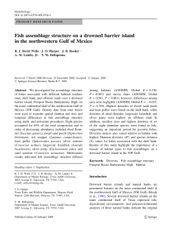 Fish assemblage structure on a drowned barrier island in the