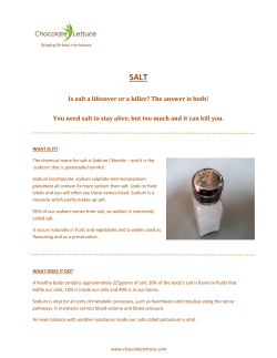 SALT - Chocolate Lettuce