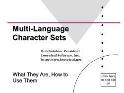 Multi-Language Character Sets