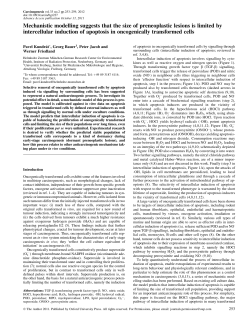 Mechanistic modelling suggests that the size of