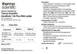 GeneRuler 1 kb Plus DNA Ladder