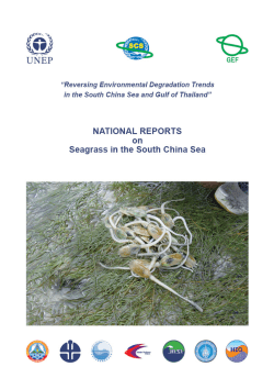 National Report for Seagrass in Cambodia - UN