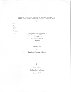 SPIRITUALITY EQUALS DESIGN PLUS NATURE SQUARED S=D+