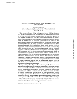 (From the Department of Zoology, University of Wisconsin, Madison)