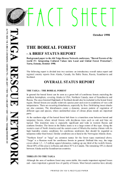 the boreal forest