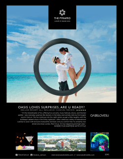 The Pyramid Fact Sheet