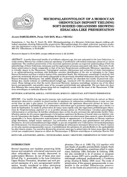 micropaijaeontology of a moroccan ordovician deposit yielding soft