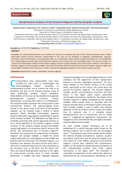 Morphometric Analysis of the Foramen Magnum and the Occipital