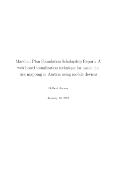 Marshall Plan Foundation Scholarship Report: A web based