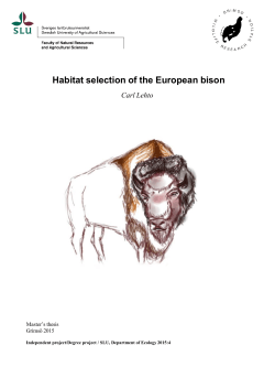 Habitat selection of the European bison