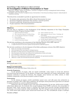 An Investigation of Ethanol Fermentation in Yeast
