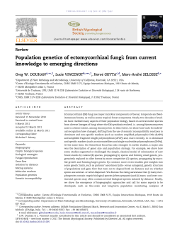 Population genetics of ectomycorrhizal fungi: from current