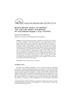 BENZYLADENINE EFFECT ON ROOTING AND AXILLARY SHOOT