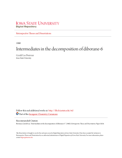 Intermediates in the decomposition of diborane-6