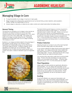 2016-09-06 00:00:00 Managing Silage in Corn Harvest Timing