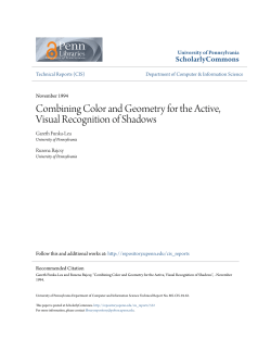 Combining Color and Geometry for the Active, Visual Recognition of