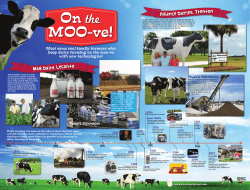 The St. John family owns and operates Alliance Dairies