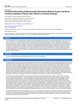Combined Recording of Mechanically Stimulated Afferent Output