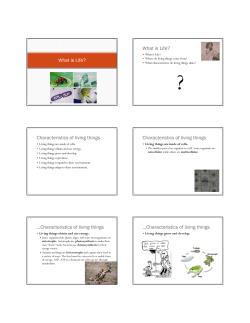 What is Life? What is Life? Characteristics of living things