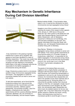 Key Mechanism in Genetic Inheritance During Cell